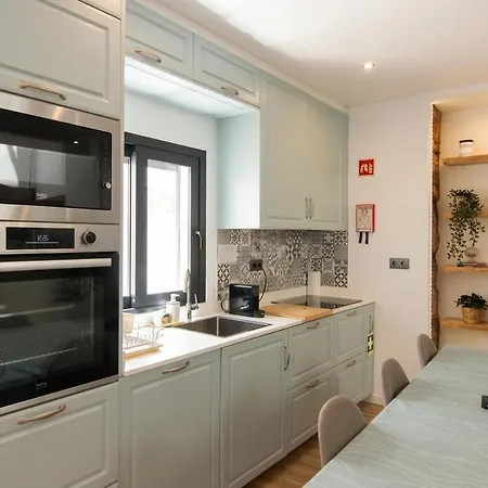 Modern Duplex In Downtown